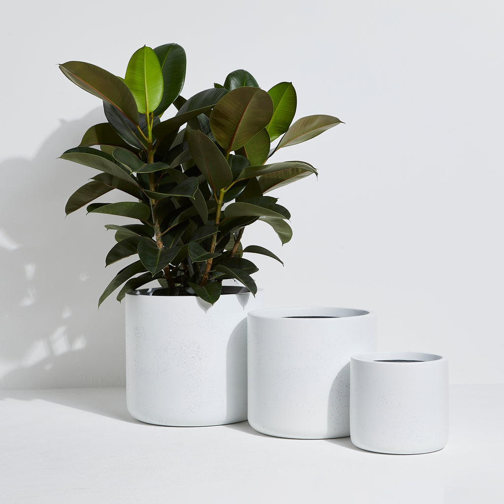 Presley Pot