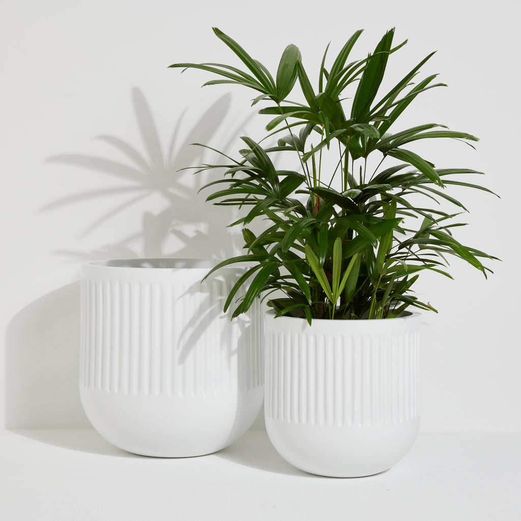 Henley Pot