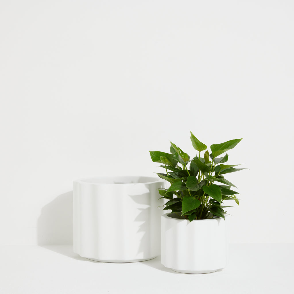 Wave Pot